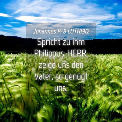 Picture 04 - Johannes 14:8 LUTH1912 - Spricht zu ihm Philippus: HERR, zeige uns den - Bible Verse Picture
