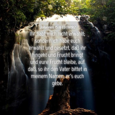Picture 04 - Johannes 15:16 LUTH1912 - Ihr habt mich nicht erwählt; sondern ich habe - Bible Verse Picture