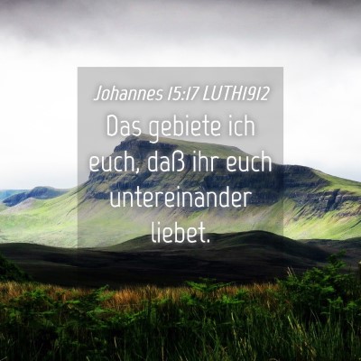 Picture 04 - Johannes 15:17 LUTH1912 - Das gebiete ich euch, daß ihr euch untereinander - Bible Verse Picture