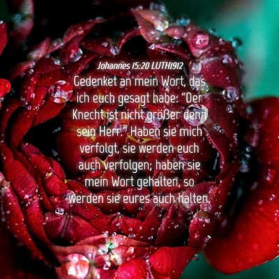 Picture 04 - Johannes 15:20 LUTH1912 - Gedenket an mein Wort, das ich euch gesagt habe: - Bible Verse Picture
