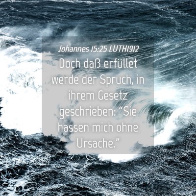 Picture 04 - Johannes 15:25 LUTH1912 - Doch daß erfüllet werde der Spruch, in ihrem - Bible Verse Picture
