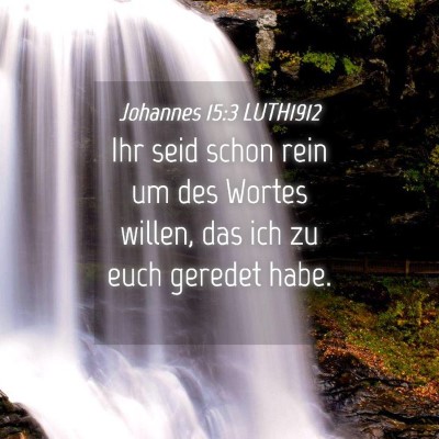 Picture 04 - Johannes 15:3 LUTH1912 - Ihr seid schon rein um des Wortes willen, das ich - Bible Verse Picture