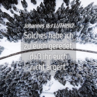 Picture 04 - Johannes 16:1 LUTH1912 - Solches habe ich zu euch geredet, daß ihr euch - Bible Verse Picture