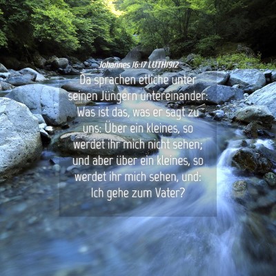 Picture 04 - Johannes 16:17 LUTH1912 - Da sprachen etliche unter seinen Jüngern - Bible Verse Picture