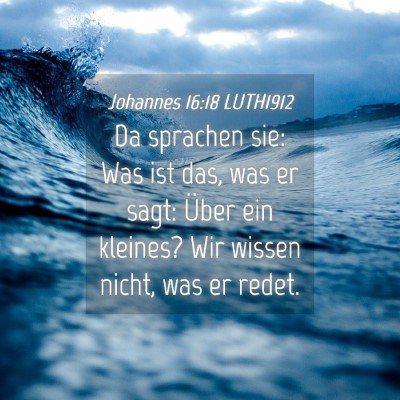 Picture 04 - Johannes 16:18 LUTH1912 - Da sprachen sie: Was ist das, was er sagt: Über - Bible Verse Picture