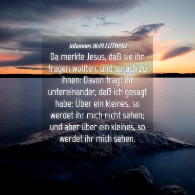 Picture 04 - Johannes 16:19 LUTH1912 - Da merkte Jesus, daß sie ihn fragen wollten, und - Bible Verse Picture