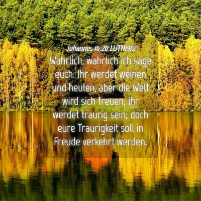 Picture 04 - Johannes 16:20 LUTH1912 - Wahrlich, wahrlich ich sage euch: Ihr werdet - Bible Verse Picture