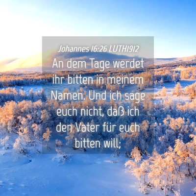 Picture 04 - Johannes 16:26 LUTH1912 - An dem Tage werdet ihr bitten in meinem Namen. - Bible Verse Picture