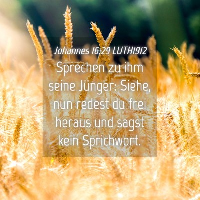 Picture 04 - Johannes 16:29 LUTH1912 - Sprechen zu ihm seine Jünger: Siehe, nun redest - Bible Verse Picture