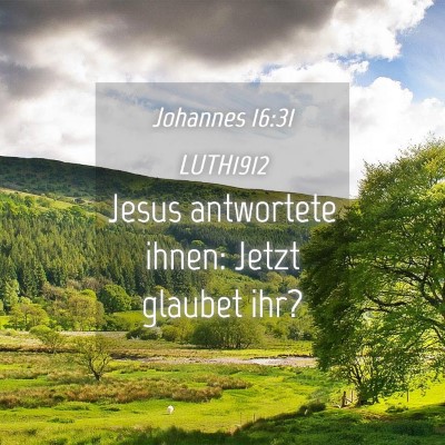 Picture 04 - Johannes 16:31 LUTH1912 - Jesus antwortete ihnen: Jetzt glaubet - Bible Verse Picture