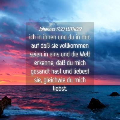 Picture 04 - Johannes 17:23 LUTH1912 - ich in ihnen und du in mir, auf daß sie - Bible Verse Picture