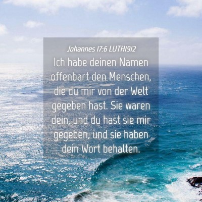 Picture 04 - Johannes 17:6 LUTH1912 - Ich habe deinen Namen offenbart den Menschen, die - Bible Verse Picture
