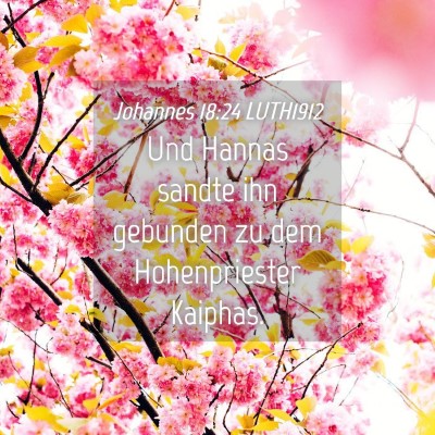 Picture 04 - Johannes 18:24 LUTH1912 - Und Hannas sandte ihn gebunden zu dem - Bible Verse Picture