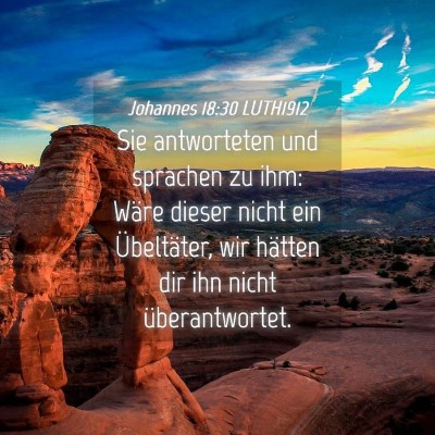 Picture 04 - Johannes 18:30 LUTH1912 - Sie antworteten und sprachen zu ihm: Wäre dieser - Bible Verse Picture