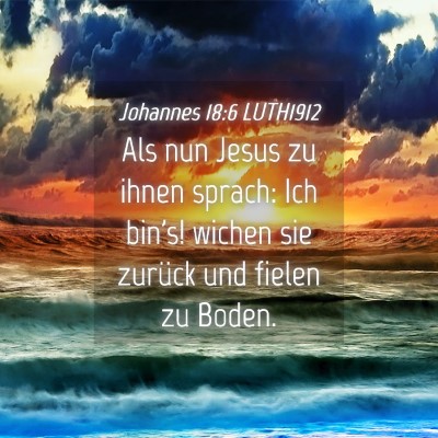 Picture 04 - Johannes 18:6 LUTH1912 - Als nun Jesus zu ihnen sprach: Ich bin's! wichen - Bible Verse Picture