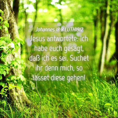 Picture 04 - Johannes 18:8 LUTH1912 - Jesus antwortete: Ich habe euch gesagt, daß ich - Bible Verse Picture