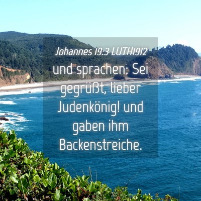 Picture 04 - Johannes 19:3 LUTH1912 - und sprachen: Sei gegrüßt, lieber Judenkönig! - Bible Verse Picture