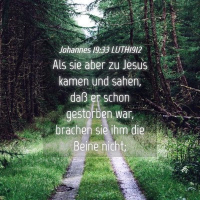 Picture 04 - Johannes 19:33 LUTH1912 - Als sie aber zu Jesus kamen und sahen, daß er - Bible Verse Picture