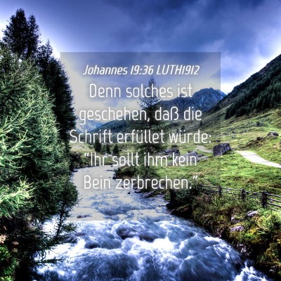 Picture 04 - Johannes 19:36 LUTH1912 - Denn solches ist geschehen, daß die Schrift - Bible Verse Picture