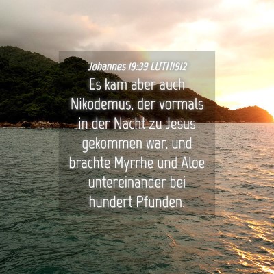 Picture 04 - Johannes 19:39 LUTH1912 - Es kam aber auch Nikodemus, der vormals in der - Bible Verse Picture