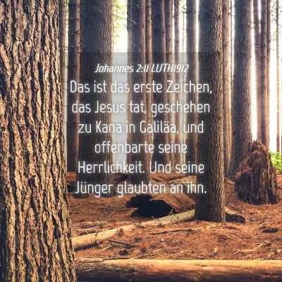 Picture 04 - Johannes 2:11 LUTH1912 - Das ist das erste Zeichen, das Jesus tat, - Bible Verse Picture