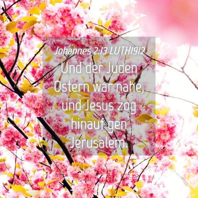 Picture 04 - Johannes 2:13 LUTH1912 - Und der Juden Ostern war nahe, und Jesus zog - Bible Verse Picture