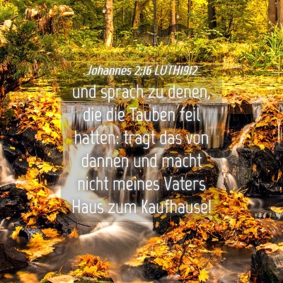 Picture 04 - Johannes 2:16 LUTH1912 - und sprach zu denen, die die Tauben feil hatten: - Bible Verse Picture