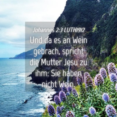 Picture 04 - Johannes 2:3 LUTH1912 - Und da es an Wein gebrach, spricht die Mutter - Bible Verse Picture