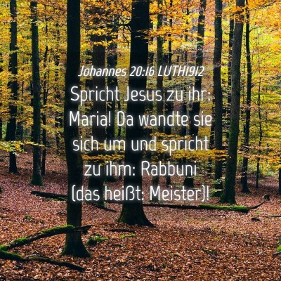 Picture 04 - Johannes 20:16 LUTH1912 - Spricht Jesus zu ihr: Maria! Da wandte sie sich - Bible Verse Picture