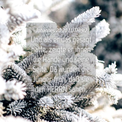 Picture 04 - Johannes 20:20 LUTH1912 - Und als er das gesagt hatte, zeigte er ihnen die - Bible Verse Picture