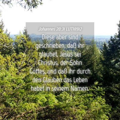 Picture 04 - Johannes 20:31 LUTH1912 - Diese aber sind geschrieben, daß ihr glaubet, - Bible Verse Picture