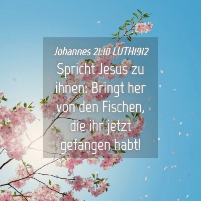 Picture 04 - Johannes 21:10 LUTH1912 - Spricht Jesus zu ihnen: Bringt her von den - Bible Verse Picture