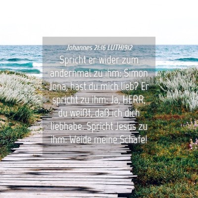 Picture 04 - Johannes 21:16 LUTH1912 - Spricht er wider zum andernmal zu ihm: Simon - Bible Verse Picture