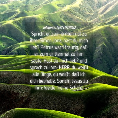 Picture 04 - Johannes 21:17 LUTH1912 - Spricht er zum drittenmal zu ihm: Simon Jona, - Bible Verse Picture