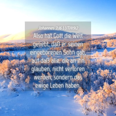 Picture 04 - Johannes 3:16 LUTH1912 - Also hat Gott die Welt geliebt, daß er seinen - Bible Verse Picture