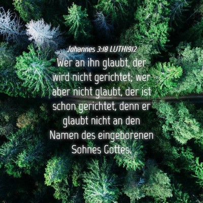 Picture 04 - Johannes 3:18 LUTH1912 - Wer an ihn glaubt, der wird nicht gerichtet; wer - Bible Verse Picture