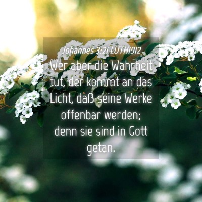 Picture 04 - Johannes 3:21 LUTH1912 - Wer aber die Wahrheit tut, der kommt an das - Bible Verse Picture