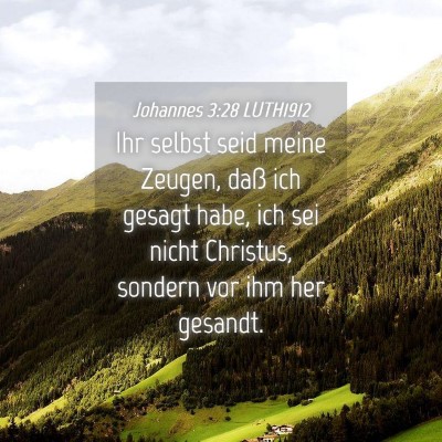 Picture 04 - Johannes 3:28 LUTH1912 - Ihr selbst seid meine Zeugen, daß ich gesagt - Bible Verse Picture