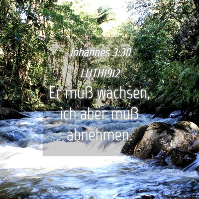 Picture 04 - Johannes 3:30 LUTH1912 - Er muß wachsen, ich aber muß - Bible Verse Picture
