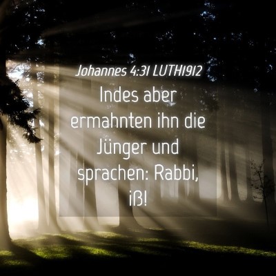 Picture 04 - Johannes 4:31 LUTH1912 - Indes aber ermahnten ihn die Jünger und - Bible Verse Picture