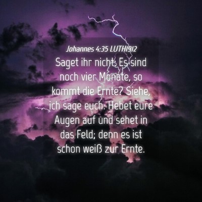 Picture 04 - Johannes 4:35 LUTH1912 - Saget ihr nicht: Es sind noch vier Monate, so - Bible Verse Picture