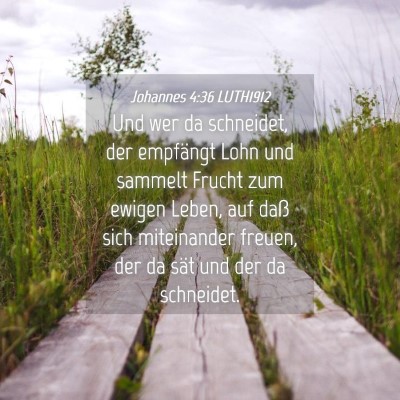 Picture 04 - Johannes 4:36 LUTH1912 - Und wer da schneidet, der empfängt Lohn und - Bible Verse Picture