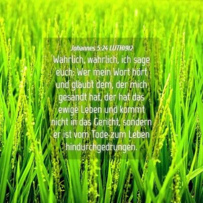 Picture 04 - Johannes 5:24 LUTH1912 - Wahrlich, wahrlich, ich sage euch: Wer mein Wort - Bible Verse Picture