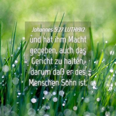 Picture 04 - Johannes 5:27 LUTH1912 - und hat ihm Macht gegeben, auch das Gericht zu - Bible Verse Picture