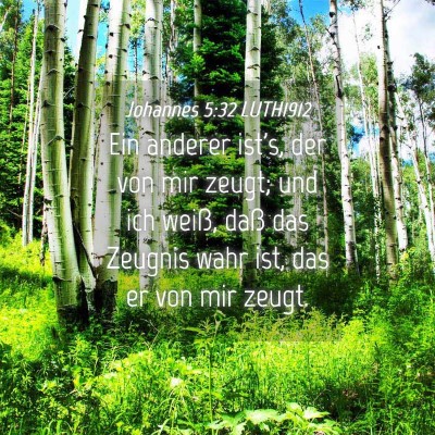Picture 04 - Johannes 5:32 LUTH1912 - Ein anderer ist's, der von mir zeugt; und ich - Bible Verse Picture
