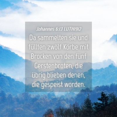 Picture 04 - Johannes 6:13 LUTH1912 - Da sammelten sie und füllten zwölf Körbe mit - Bible Verse Picture