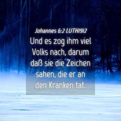 Picture 04 - Johannes 6:2 LUTH1912 - Und es zog ihm viel Volks nach, darum daß sie - Bible Verse Picture