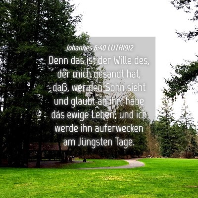 Picture 04 - Johannes 6:40 LUTH1912 - Denn das ist der Wille des, der mich gesandt hat, - Bible Verse Picture
