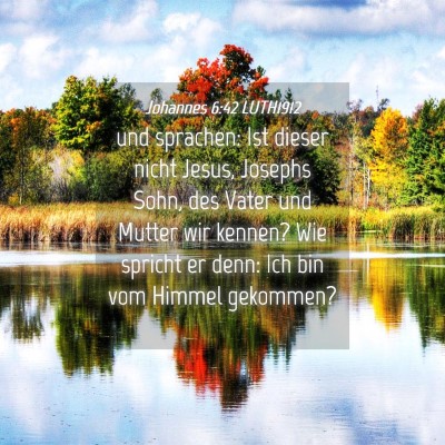 Picture 04 - Johannes 6:42 LUTH1912 - und sprachen: Ist dieser nicht Jesus, Josephs - Bible Verse Picture