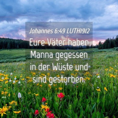 Picture 04 - Johannes 6:49 LUTH1912 - Eure Väter haben Manna gegessen in der Wüste - Bible Verse Picture